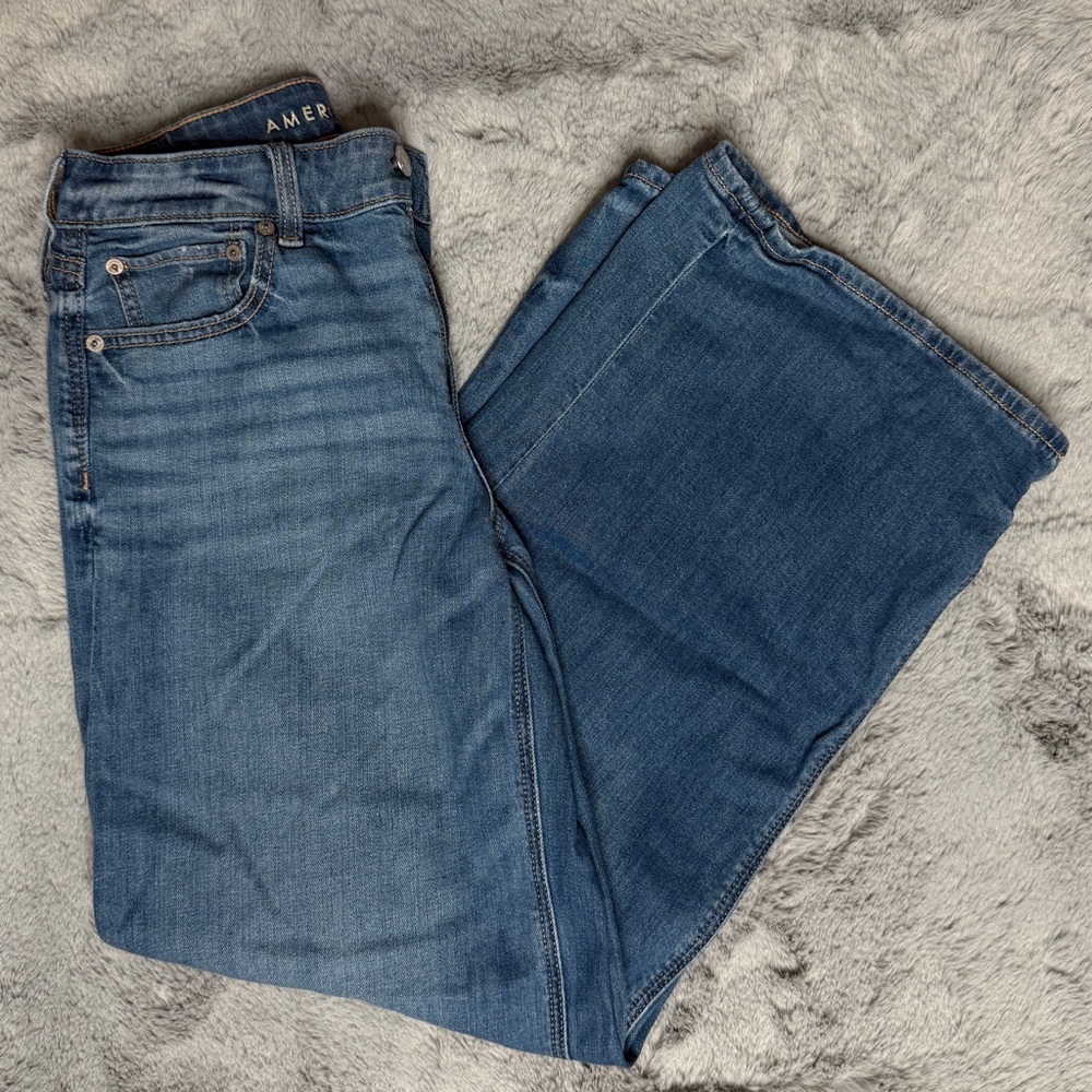 American Eagle Low Rise Baggy Wide Leg Blue Jeans Sz 2 Regular